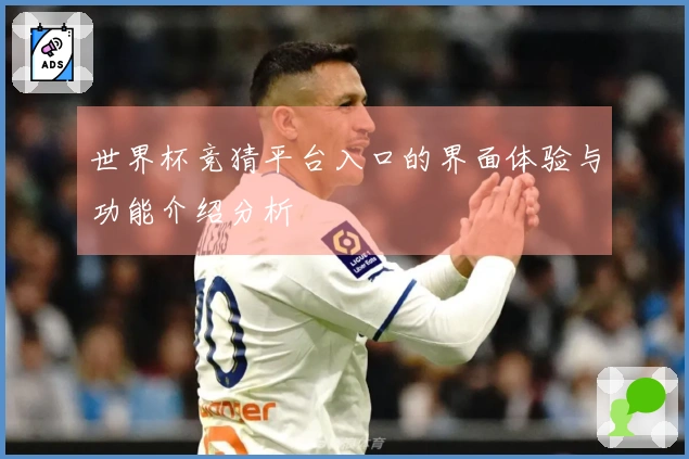 世界杯竞猜平台入口的界面体验与功能介绍分析