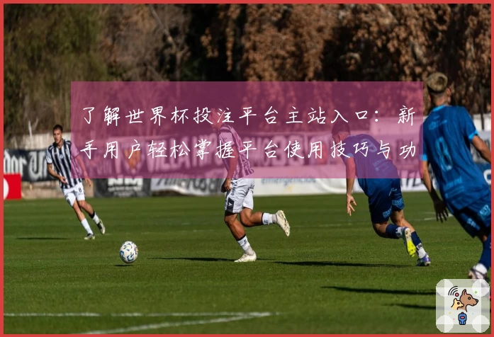 了解世界杯投注平台主站入口：新手用户轻松掌握平台使用技巧与功能介绍