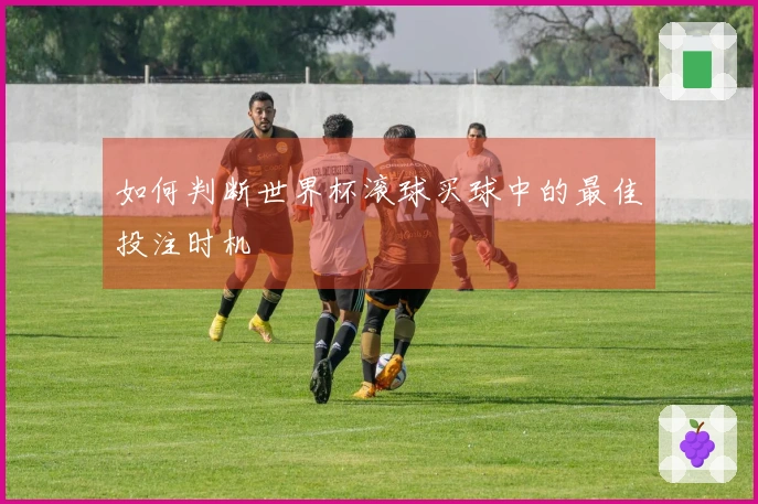 如何判断世界杯滚球买球中的最佳投注时机