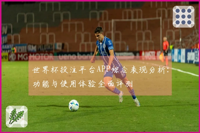 世界杯投注平台APP综合表现分析：功能与使用体验全面评测
