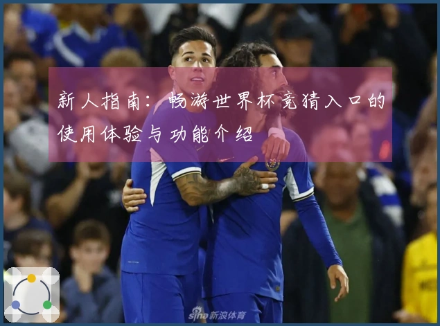 新人指南：畅游世界杯竞猜入口的使用体验与功能介绍