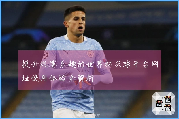 提升观赛乐趣的世界杯买球平台网址使用体验全解析