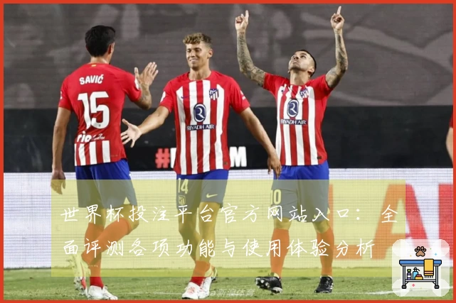世界杯投注平台官方网站入口：全面评测各项功能与使用体验分析