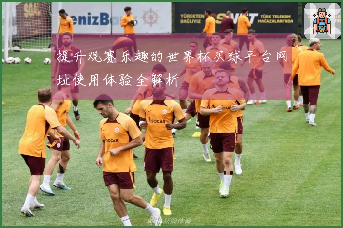提升观赛乐趣的世界杯买球平台网址使用体验全解析