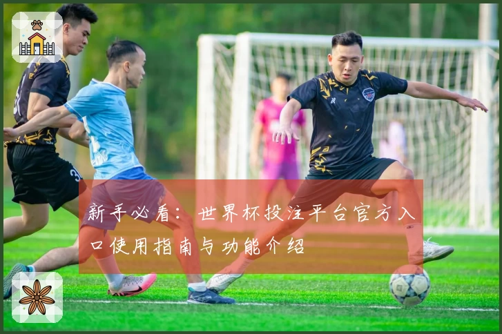 新手必看：世界杯投注平台官方入口使用指南与功能介绍