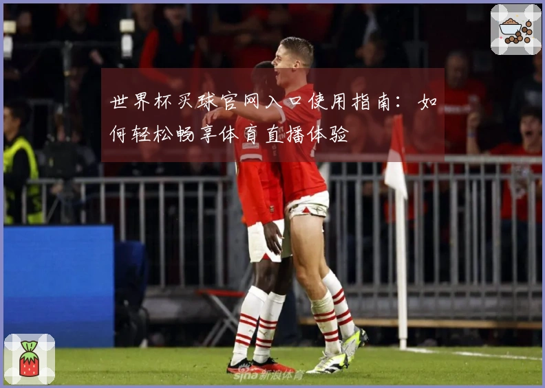 世界杯买球官网入口使用指南：如何轻松畅享体育直播体验