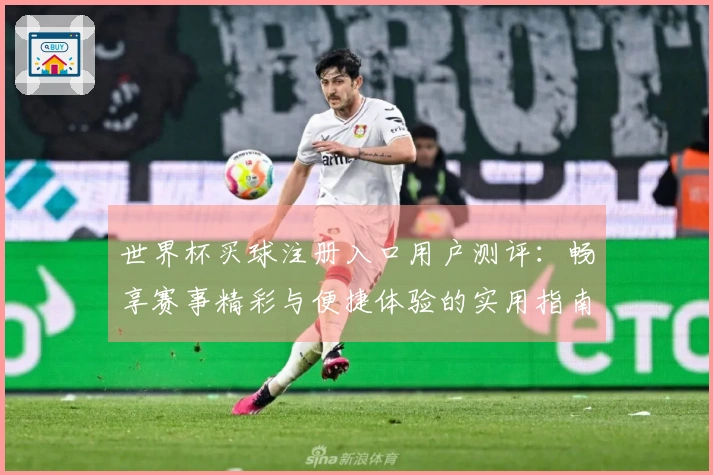 世界杯买球注册入口用户测评：畅享赛事精彩与便捷体验的实用指南