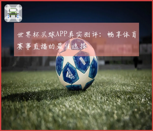 世界杯买球APP真实测评：畅享体育赛事直播的最佳选择