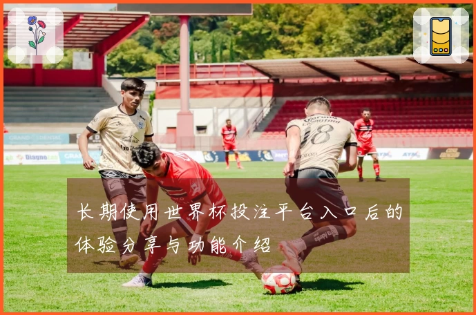 长期使用世界杯投注平台入口后的体验分享与功能介绍