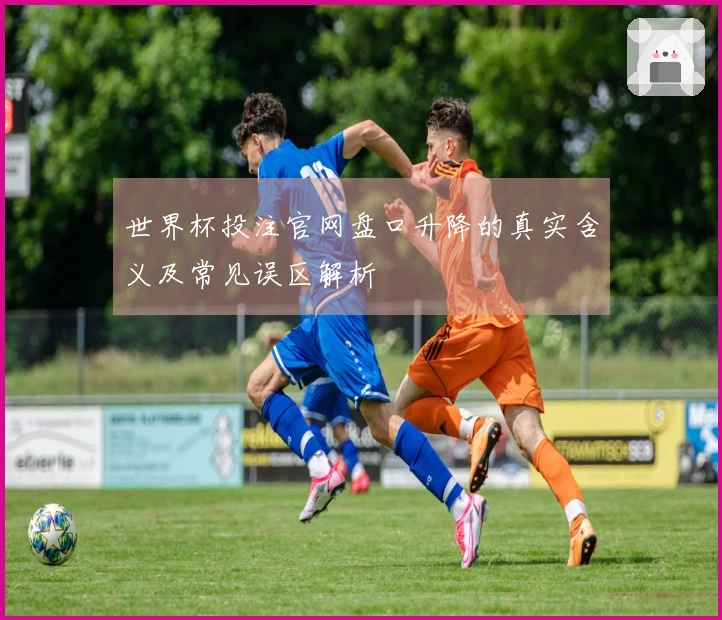世界杯投注官网盘口升降的真实含义及常见误区解析