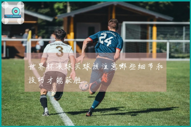 世界杯滚球买球该注意哪些细节和技巧才能获胜