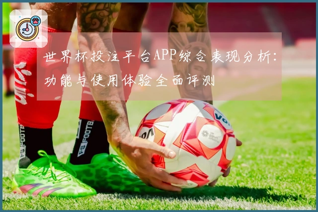 世界杯投注平台APP综合表现分析：功能与使用体验全面评测